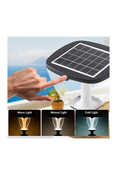 ACK AG60-09891 8W/h Ayarlanabilir Renk Solar Led Bahçe Armatürü